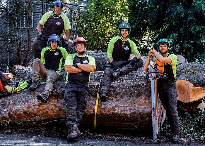 Eastside Tree Professionals