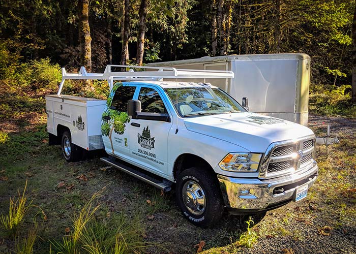 crane tree removal service