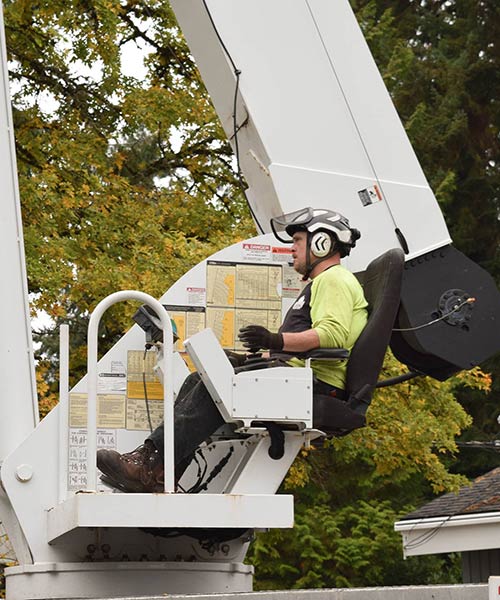 tree removal crane service