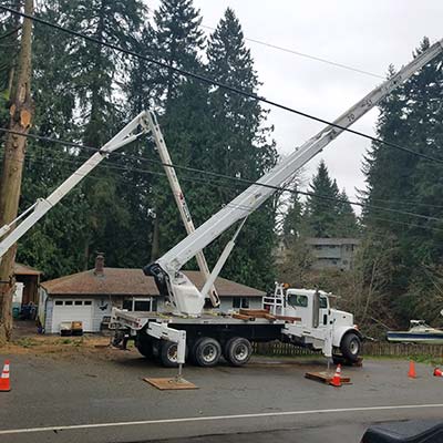 tree cutting crane