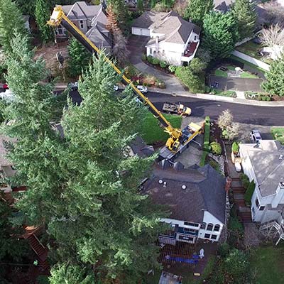 Seattle tight-quarters tree removal
